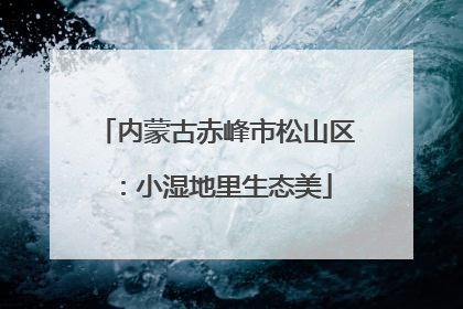 内蒙古赤峰市松山区：小湿地里生态美