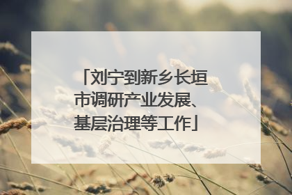 刘宁到新乡长垣市调研产业发展、基层治理等工作