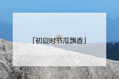 初夏时节瓜飘香