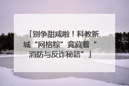 别争甜咸啦！科教新城“网格粽”竟藏着“消防与反诈秘籍”