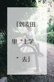 到麦田里“上学”去