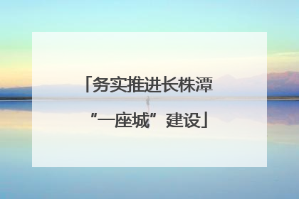 务实推进长株潭“一座城”建设