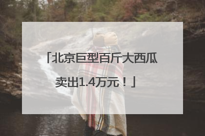 北京巨型百斤大西瓜卖出1.4万元！