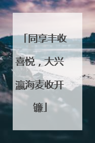 同享丰收喜悦，大兴瀛海麦收开镰
