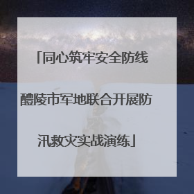同心筑牢安全防线 醴陵市军地联合开展防汛救灾实战演练
