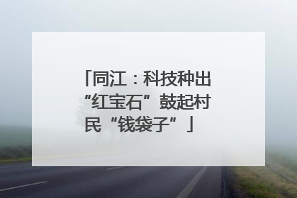 同江：科技种出“红宝石”鼓起村民“钱袋子”