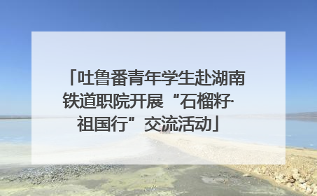 吐鲁番青年学生赴湖南铁道职院开展“石榴籽·祖国行”交流活动