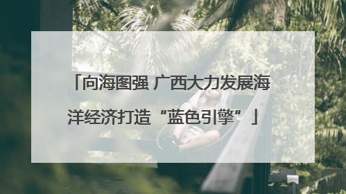 向海图强 广西大力发展海洋经济打造“蓝色引擎”
