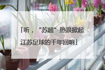 听，“苏超”热浪掀起江苏足球的千年回响