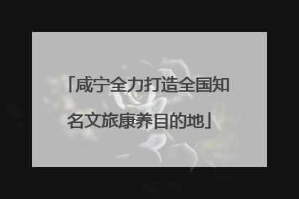 咸宁全力打造全国知名文旅康养目的地