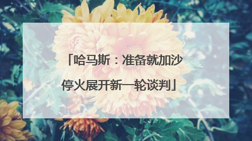 哈马斯：准备就加沙停火展开新一轮谈判