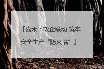 嘉禾：政企联动 筑牢安全生产“防火墙”