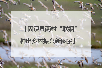 固镇县两村“联姻”种出乡村振兴新图景