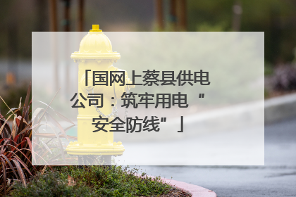 国网上蔡县供电公司：筑牢用电“安全防线”