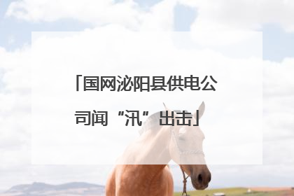 国网泌阳县供电公司闻“汛”出击