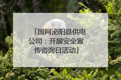 国网泌阳县供电公司：开展安全宣传咨询日活动