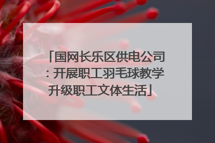 国网长乐区供电公司：开展职工羽毛球教学升级职工文体生活