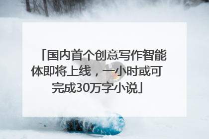 国内首个创意写作智能体即将上线，一小时或可完成30万字小说