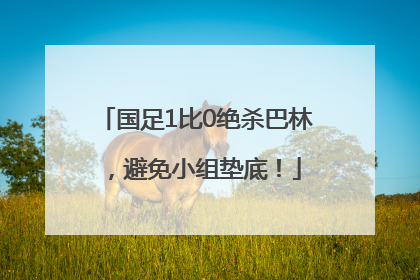 国足1比0绝杀巴林，避免小组垫底！