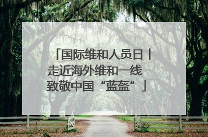 国际维和人员日丨走近海外维和一线 致敬中国“蓝盔”