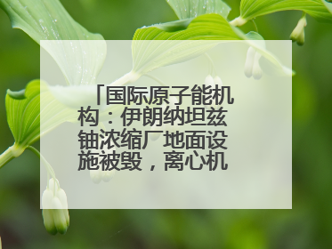 国际原子能机构：伊朗纳坦兹铀浓缩厂地面设施被毁，离心机可能已受损