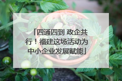 四通四到 政企共行！福建这场活动为中小企业发展赋能