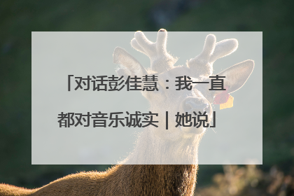 对话彭佳慧：我一直都对音乐诚实｜她说