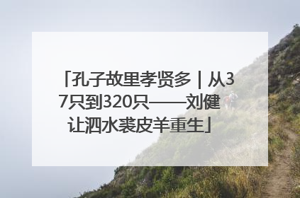 孔子故里孝贤多｜从37只到320只——刘健让泗水裘皮羊重生