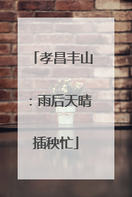 孝昌丰山：雨后天晴插秧忙