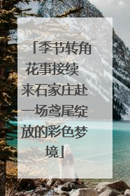 季节转角花事接续 来石家庄赴一场鸢尾绽放的彩色梦境