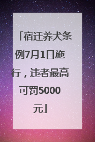 宿迁养犬条例7月1日施行，违者最高可罚5000元