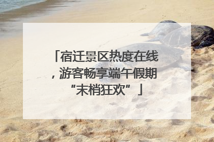 宿迁景区热度在线，游客畅享端午假期“末梢狂欢”