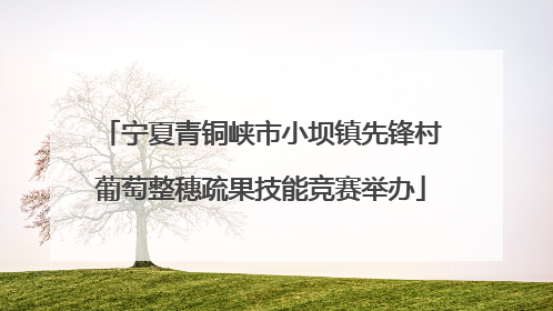 宁夏青铜峡市小坝镇先锋村葡萄整穗疏果技能竞赛举办