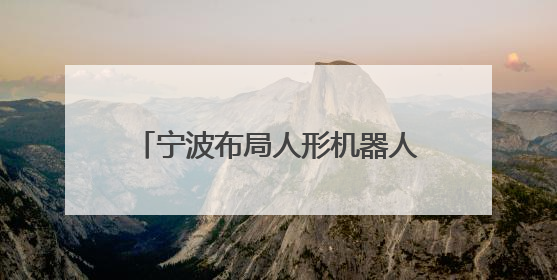 宁波布局人形机器人产业，三年计划发布