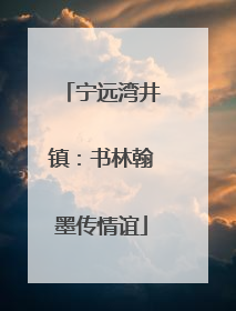 宁远湾井镇：书林翰墨传情谊