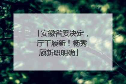 安徽省委决定，一厅干履新！杨秀颀新职明确