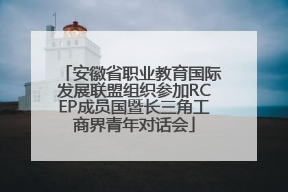 安徽省职业教育国际发展联盟组织参加RCEP成员国暨长三角工商界青年对话会