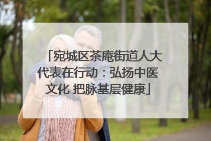 宛城区茶庵街道人大代表在行动：弘扬中医文化 把脉基层健康
