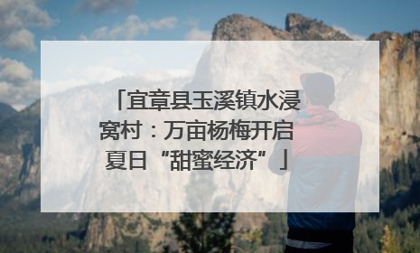 宜章县玉溪镇水浸窝村：万亩杨梅开启夏日“甜蜜经济”