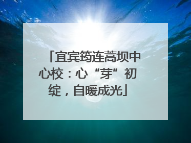宜宾筠连蒿坝中心校：心“芽”初绽，自暖成光