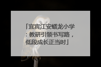 宜宾江安蟠龙小学：教研引领书写路，低段成长正当时