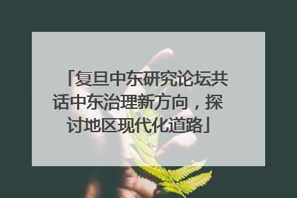 复旦中东研究论坛共话中东治理新方向，探讨地区现代化道路