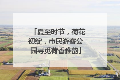 夏至时节，荷花初绽，市民游客公园寻觅荷香雅韵