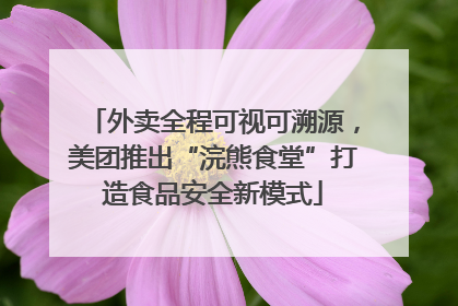 外卖全程可视可溯源，美团推出“浣熊食堂”打造食品安全新模式
