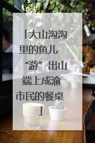 大山沟沟里的鱼儿 “游”出山 端上成渝市民的餐桌