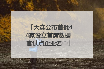 大连公布首批44家设立首席数据官试点企业名单