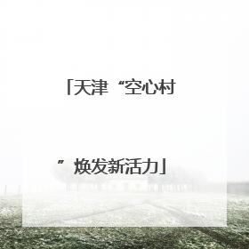 天津“空心村”焕发新活力