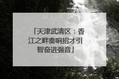 天津武清区：香江之畔奏响招才引智奋进强音