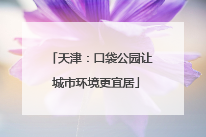 天津：口袋公园让城市环境更宜居