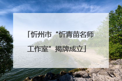 忻州市“忻青苗名师工作室”揭牌成立